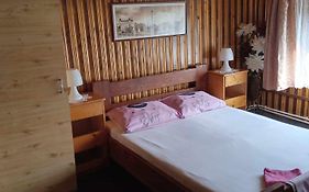 Hostel INTIM